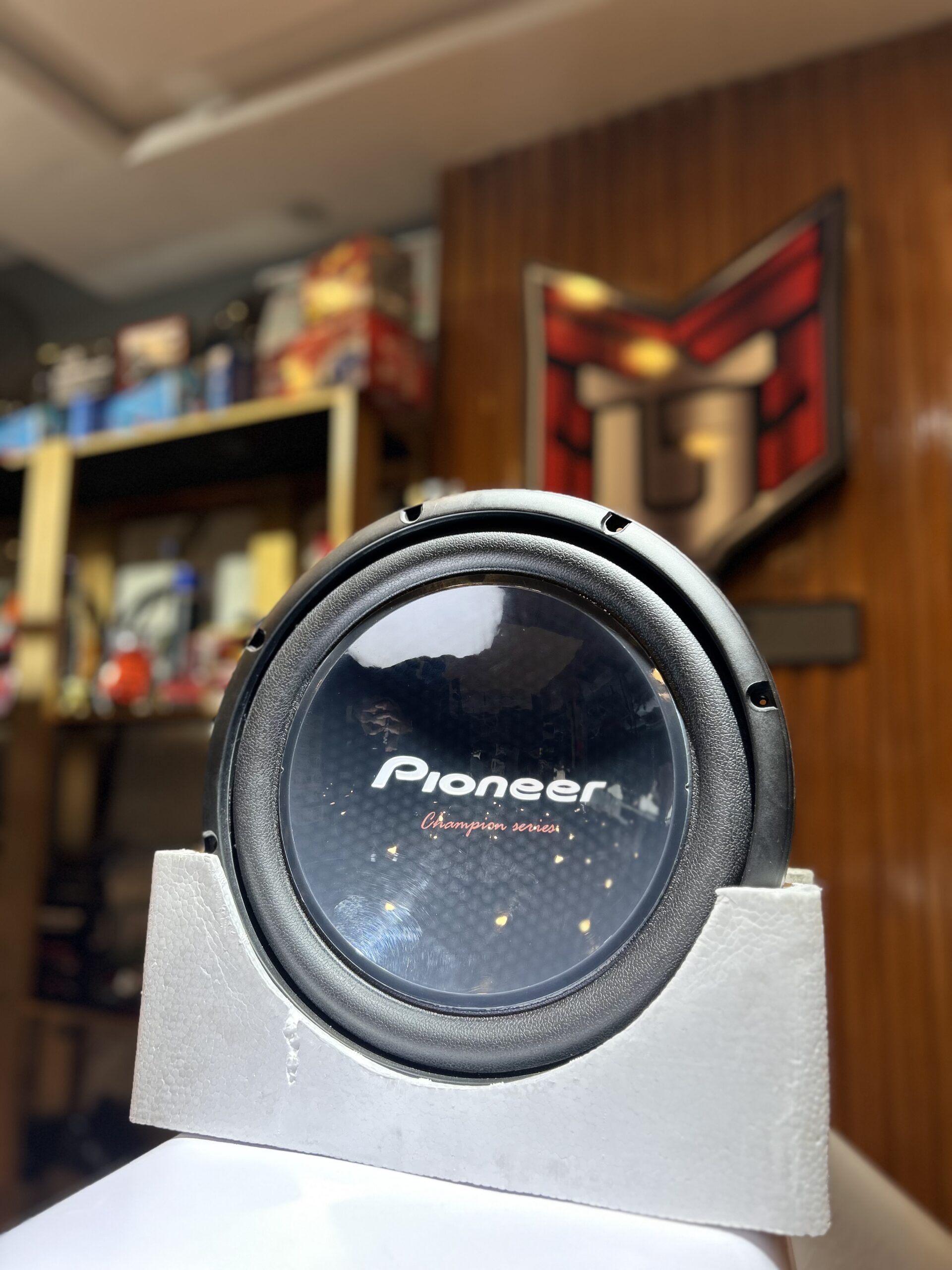 Pioneer Dual Voice SubWoofer